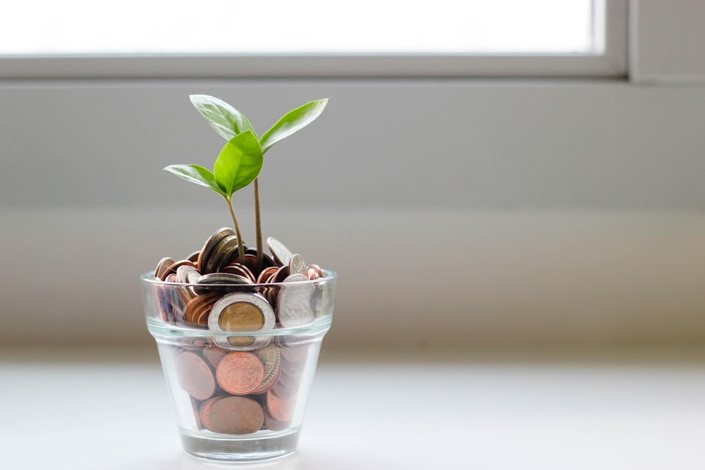a green plant in a clear glass cup with coins