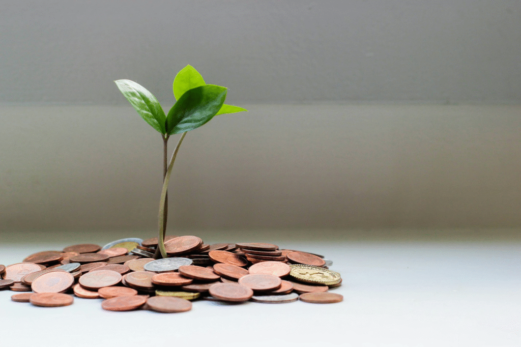 A shot of green plants surrounded by coins